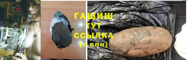 индика Белокуриха