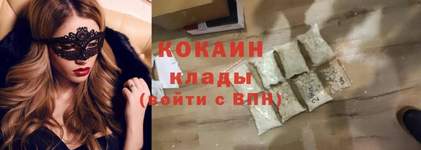 индика Белокуриха