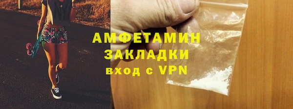 индика Белокуриха