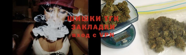 индика Белокуриха