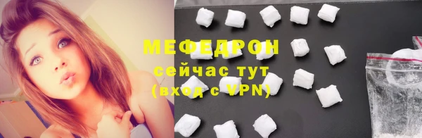 индика Белокуриха