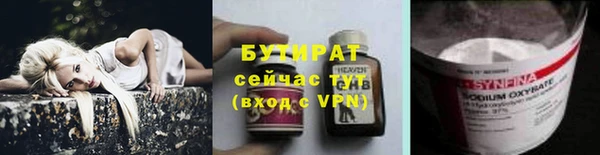 индика Белокуриха