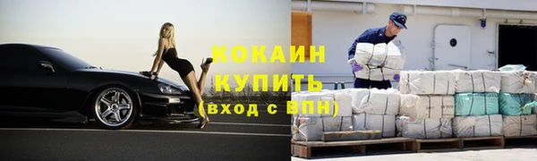 индика Белокуриха