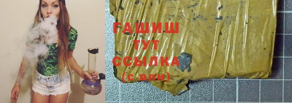 индика Белокуриха