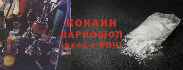 индика Белокуриха