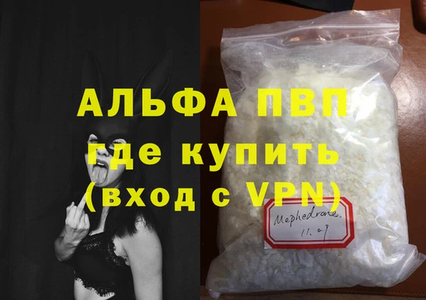 индика Белокуриха