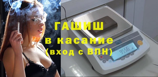 индика Белокуриха