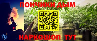 стаф Моздок