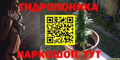бошки Можга