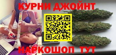 стаф Моздок