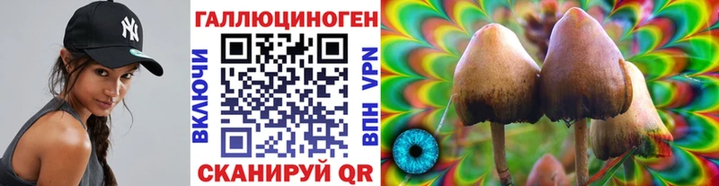 Псилоцибиновые грибы Cubensis  Бугульма 